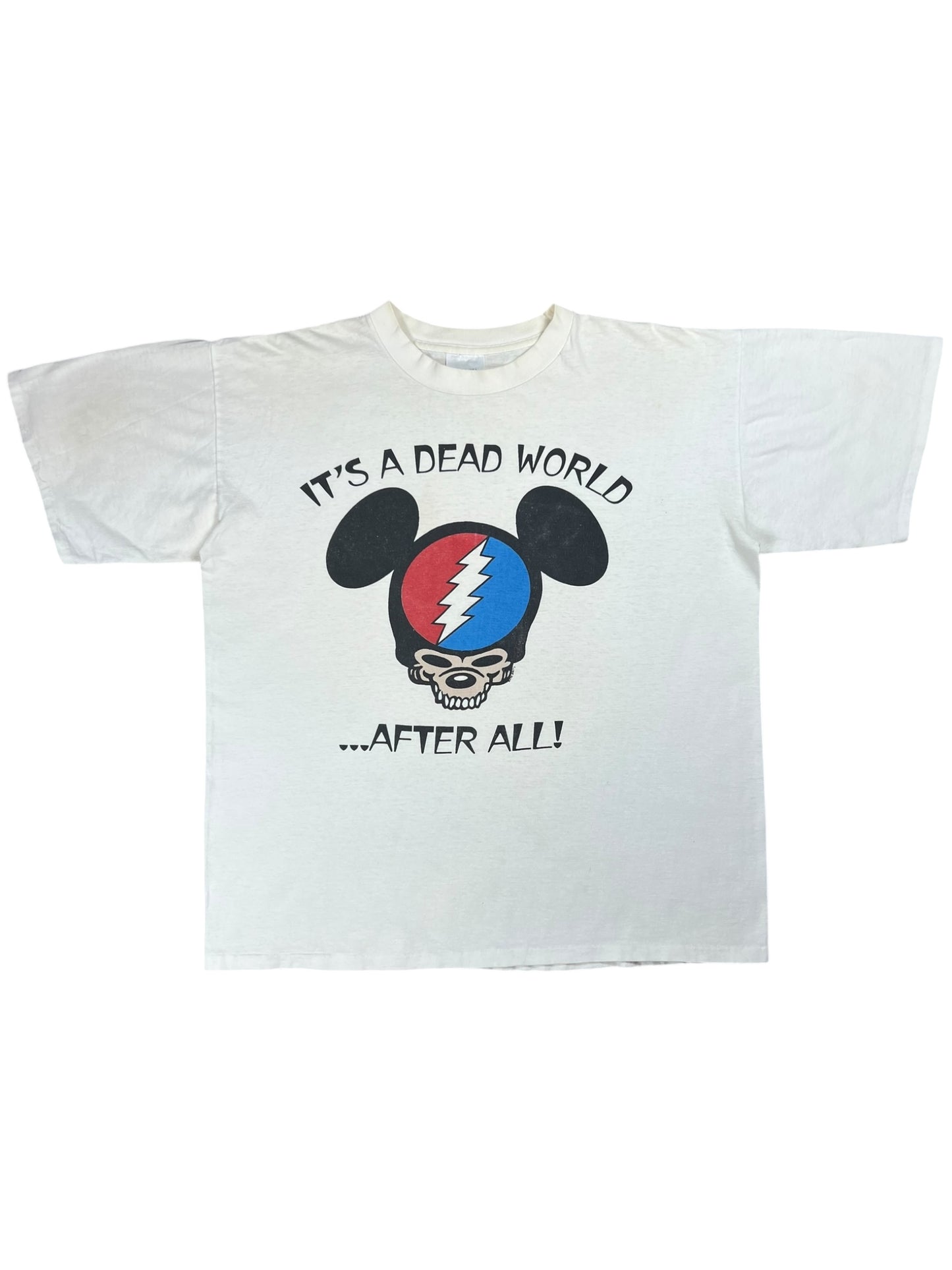 Vintage 1992 Grateful Dead It’s A Dead World…After All! lot tee (L/XL)
