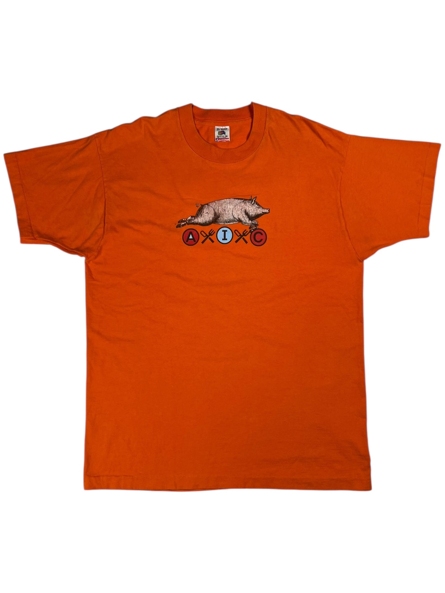 Vintage 1996 Alice In Chains The Other White Meat band tee (XL)