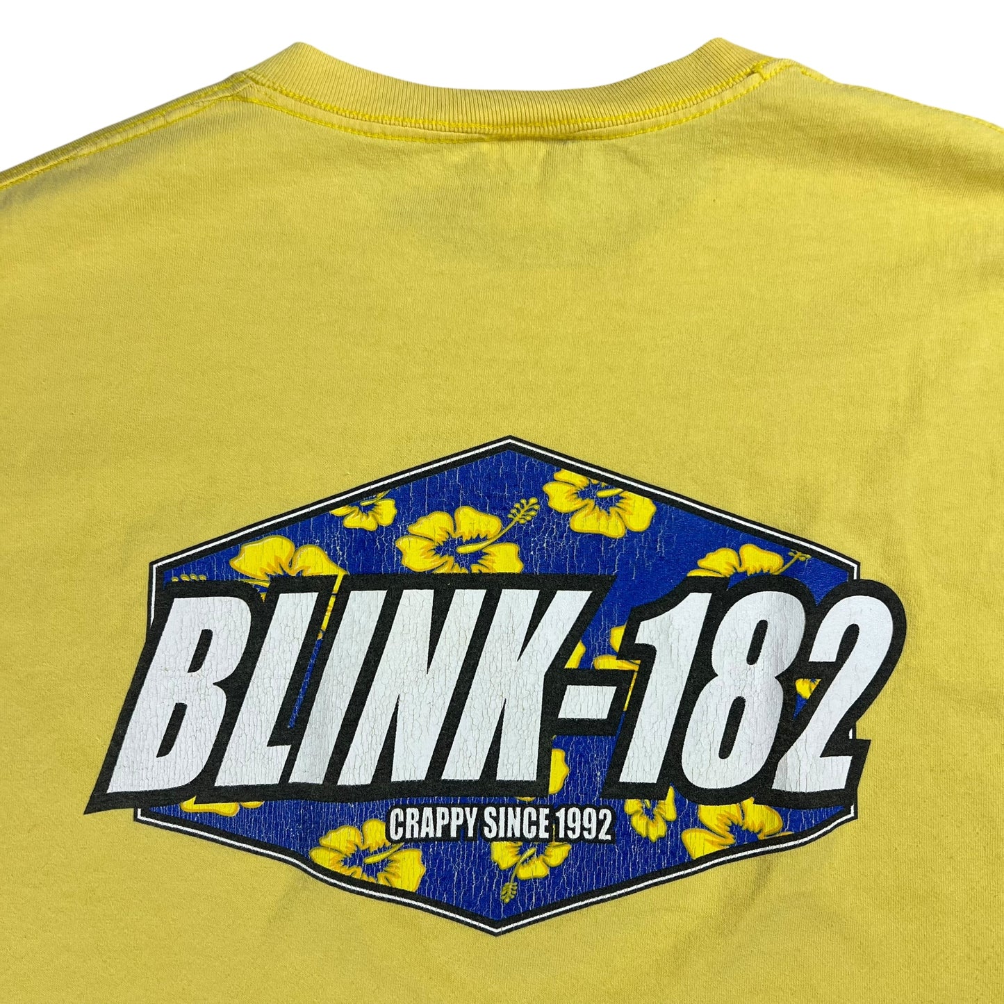 Vintage 90s Blink - 182 Crappy since 1992 band tee (XL)
