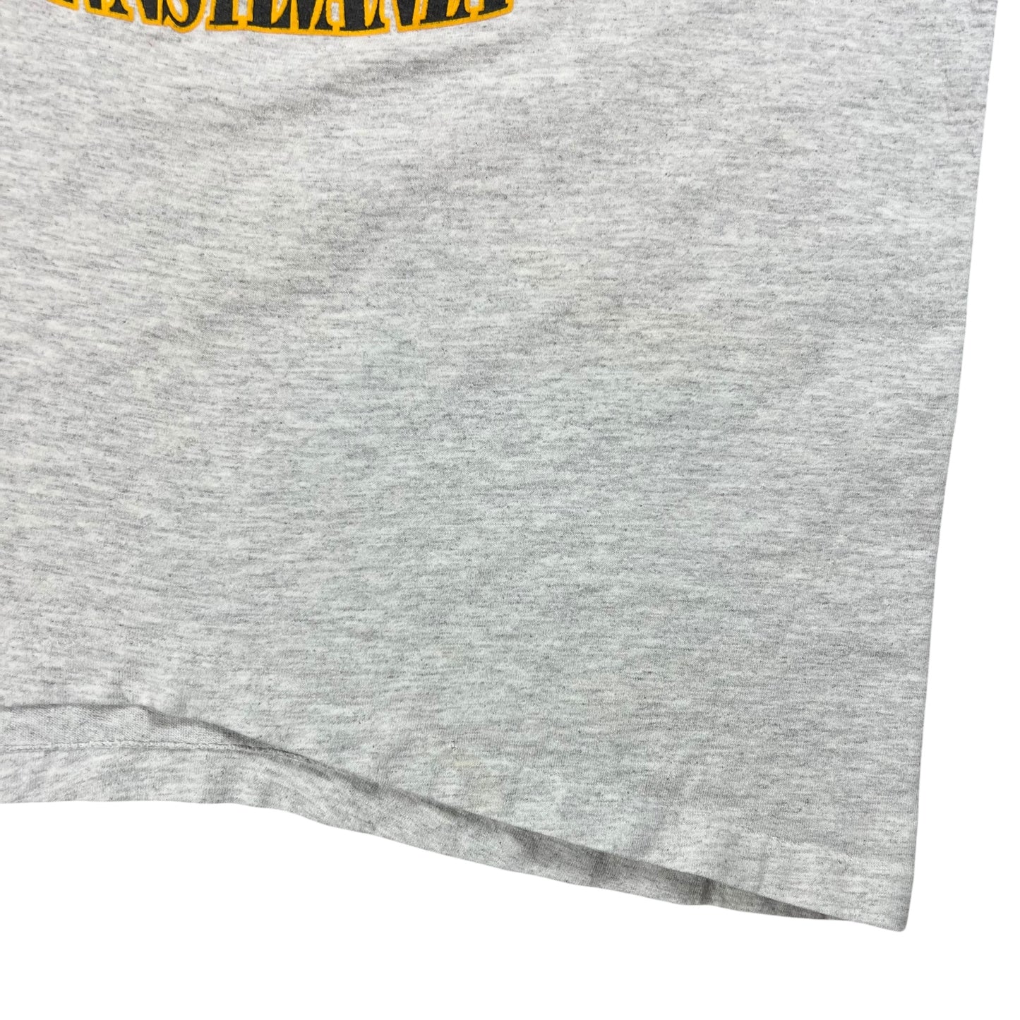 Vintage 90s Pittsburgh Sports City of Champions tee (M)
