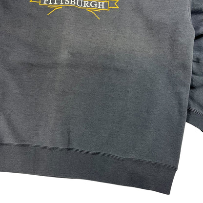 Vintage 90s Starter Pittsburgh Steelers faded crewneck (L)