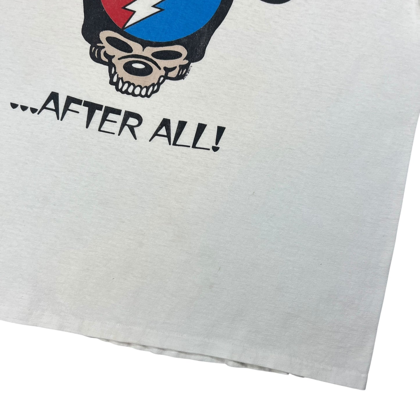 Vintage 1992 Grateful Dead It’s A Dead World…After All! lot tee (L/XL)