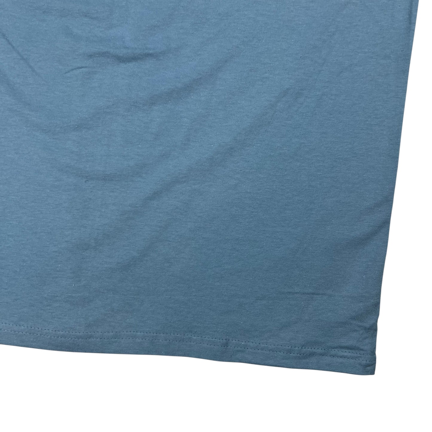 Vintage 1999 Blink 182 Butterfly band tee (L)