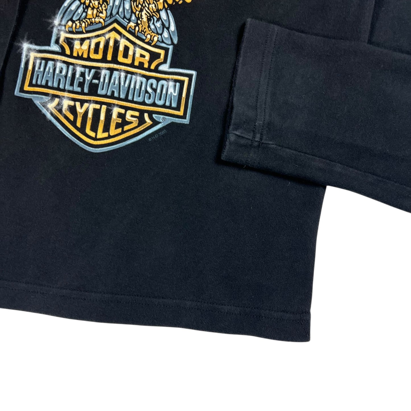 Vintage 2003 Harley Davidson Eagle femme long sleeve shirt (M)