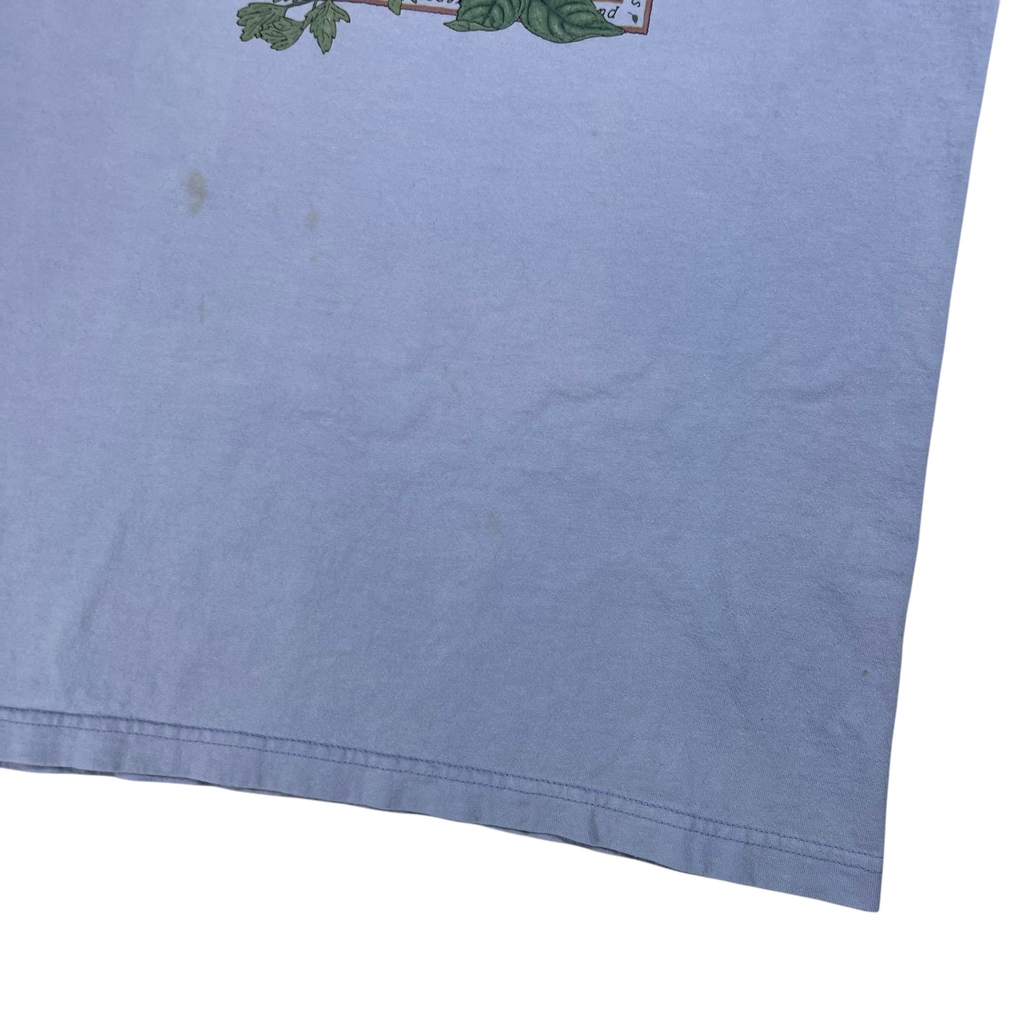 Vintage 90s Harborside Graphics Cooking Spices plant faded tee (M)