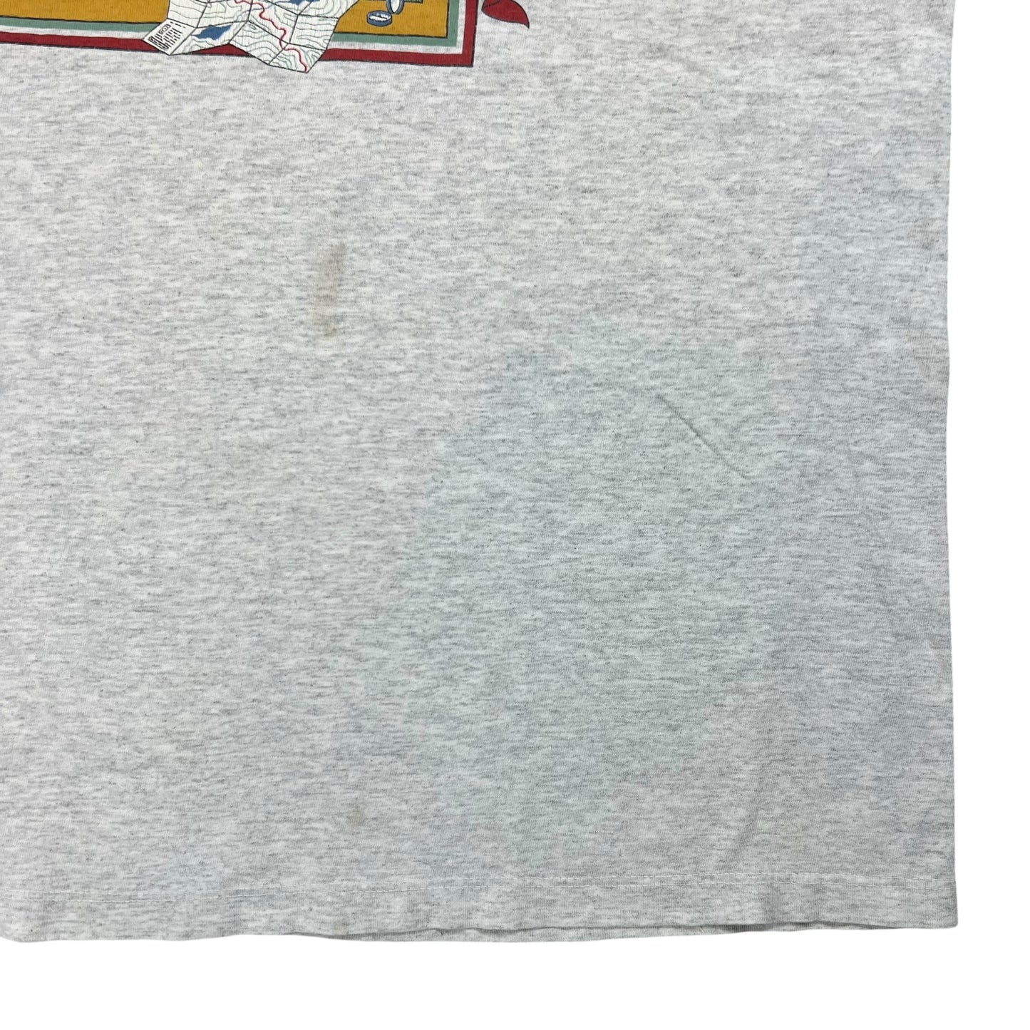 Vintage 90s R.E.I. harborside graphics outdoors tee (XL)