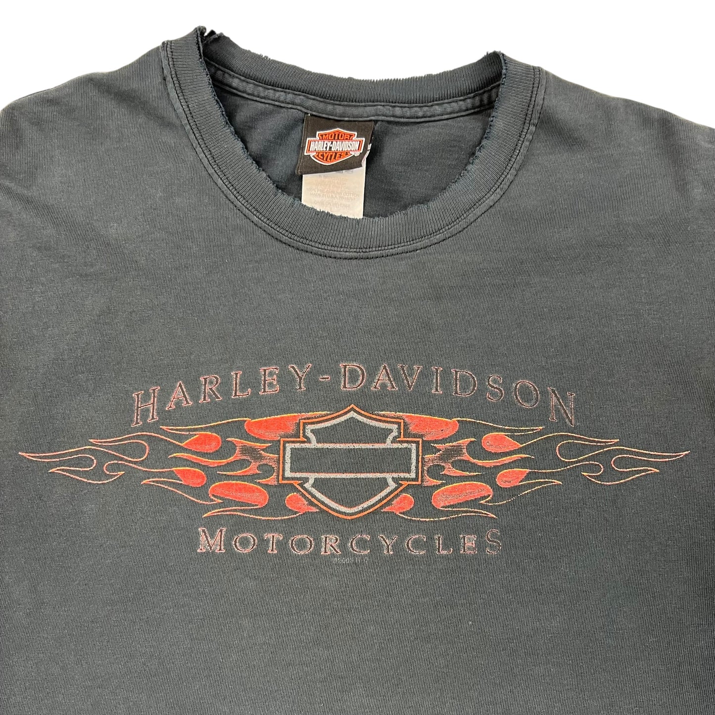 Vintage 2005 Harley Davidson faded long sleeve flames print shirt (L)