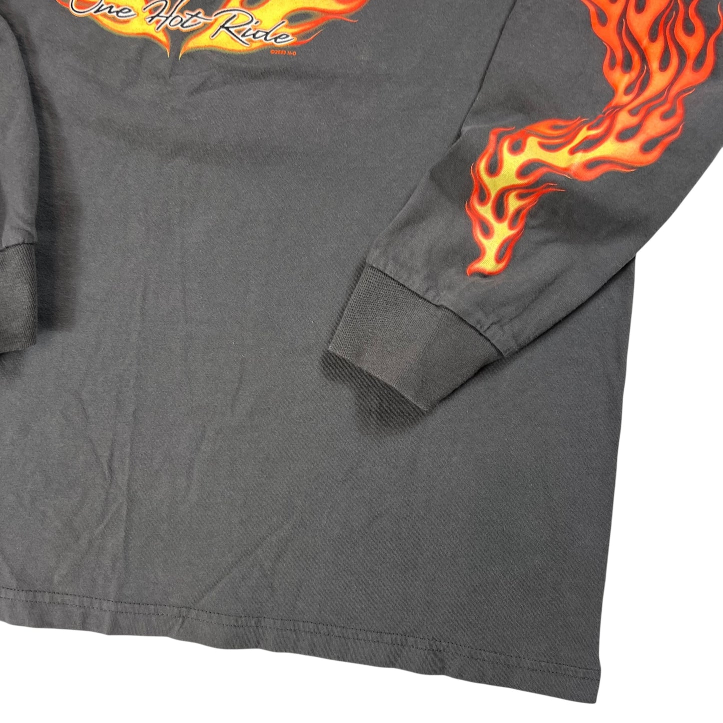 2009 Harley Davidson Motorcycles long sleeve print flames pinup girl shirt (XL)