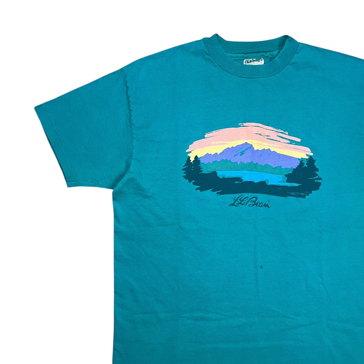 Vintage 90s L.L. Bean Hanes Mount Katahdin teal logo art tee (L/XL)