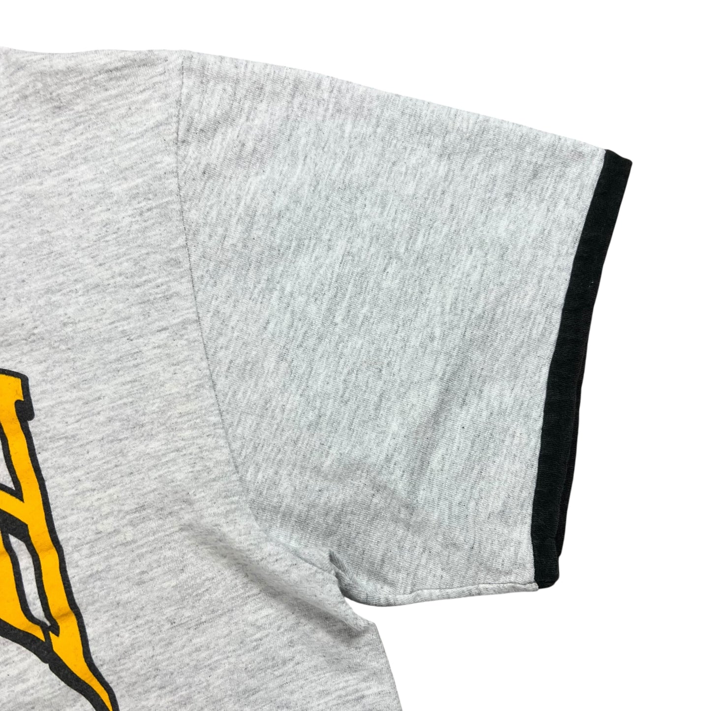 Vintage 90s Pittsburgh Sports City of Champions tee (M)
