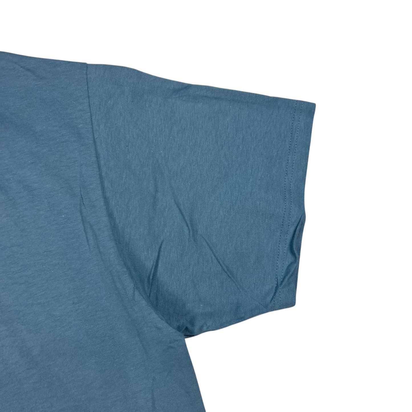 Vintage 1999 Blink 182 Butterfly band tee (L)