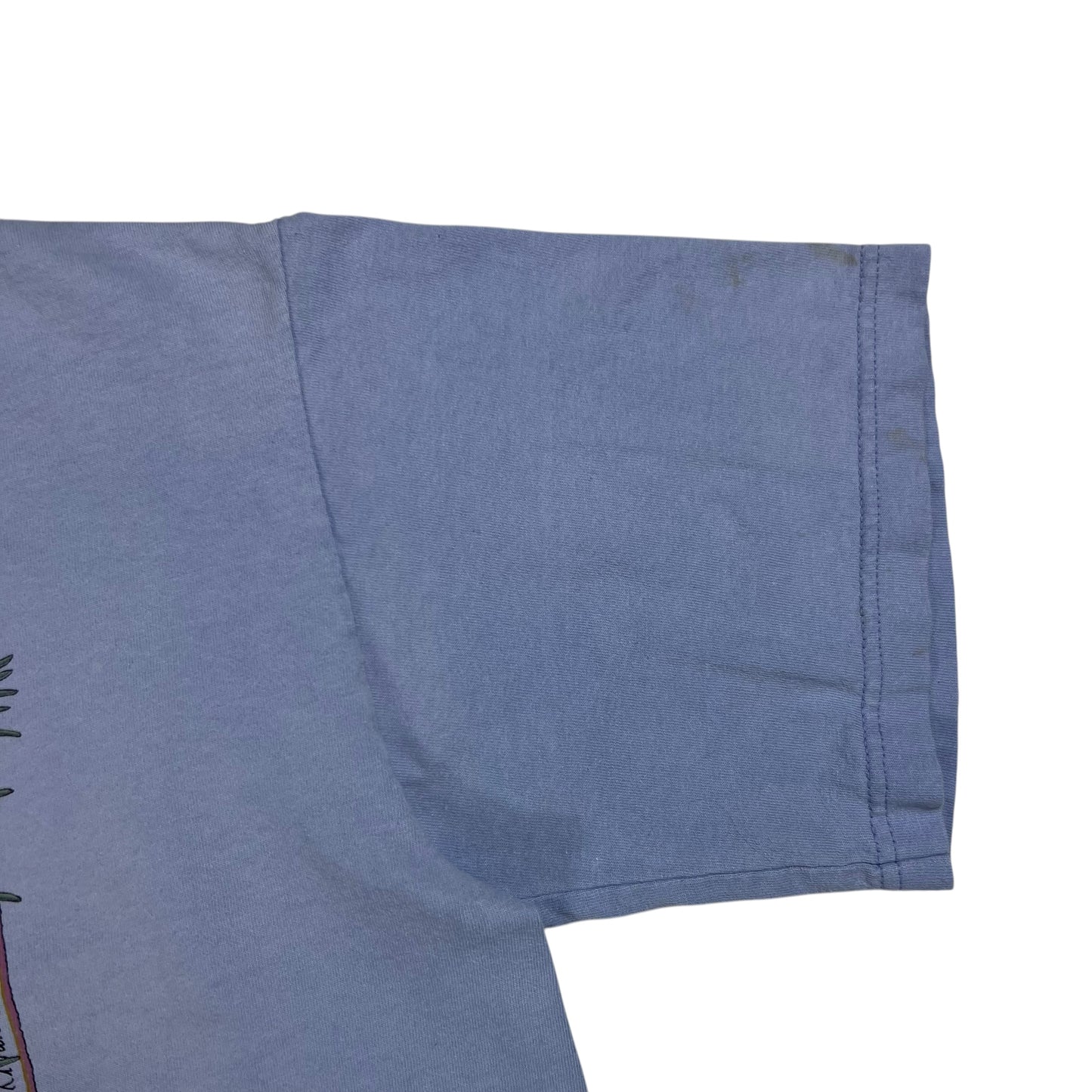 Vintage 90s Harborside Graphics Cooking Spices plant faded tee (M)