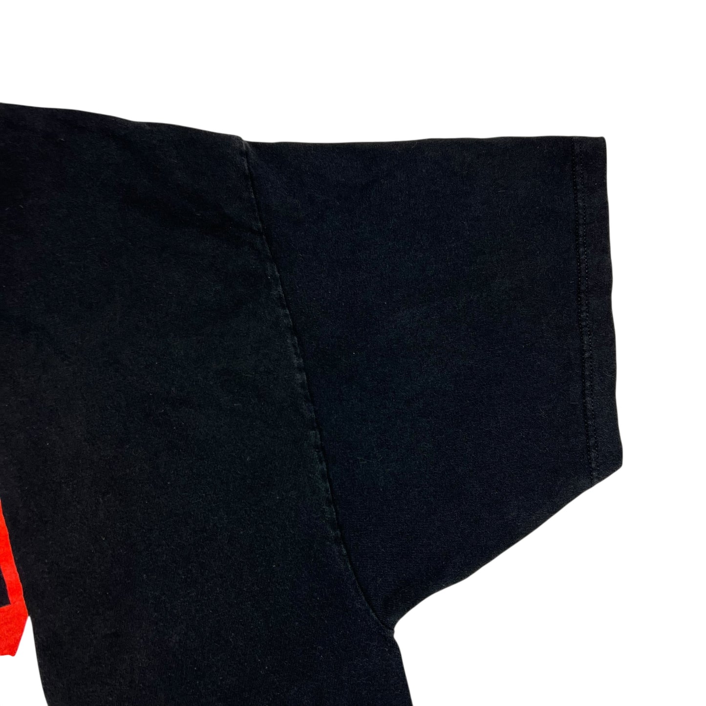 Vintage 1999 GIANT Paul Simon & Bob Dylan tour tee (XXL)