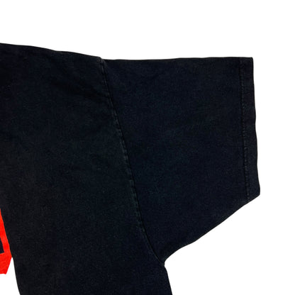 Vintage 1999 GIANT Paul Simon & Bob Dylan tour tee (XXL)