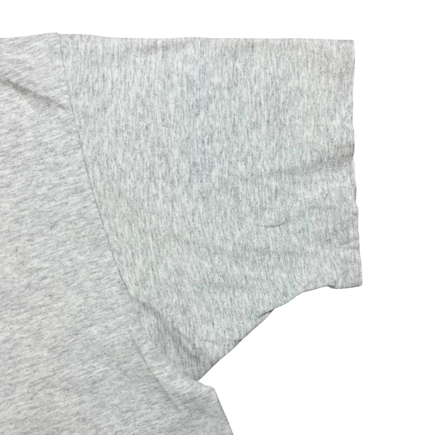 Vintage 90s R.E.I. harborside graphics outdoors tee (XL)