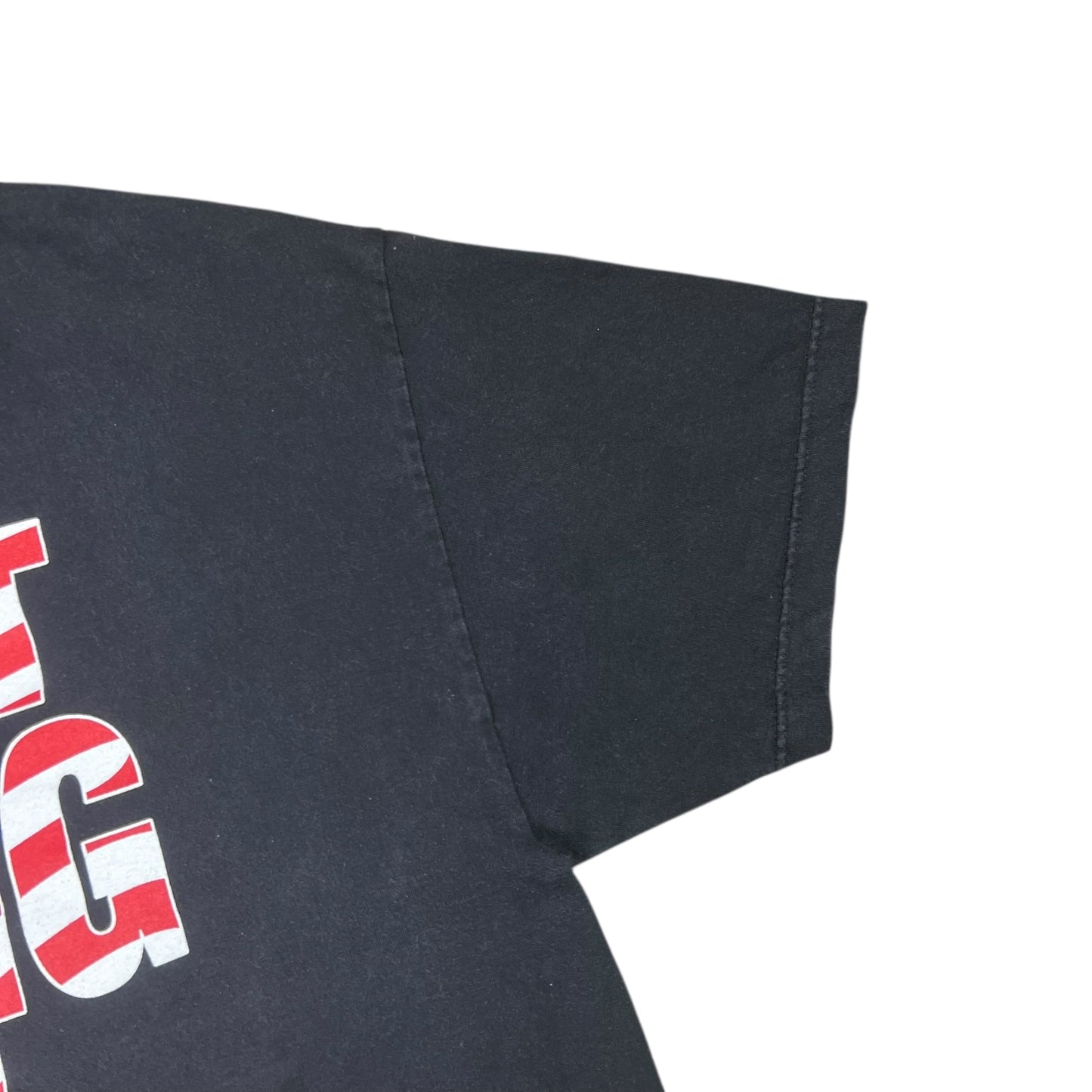 Vintage 2001 WWE The Rock JUST BRING IT! Faded Wrestling tee (XL)