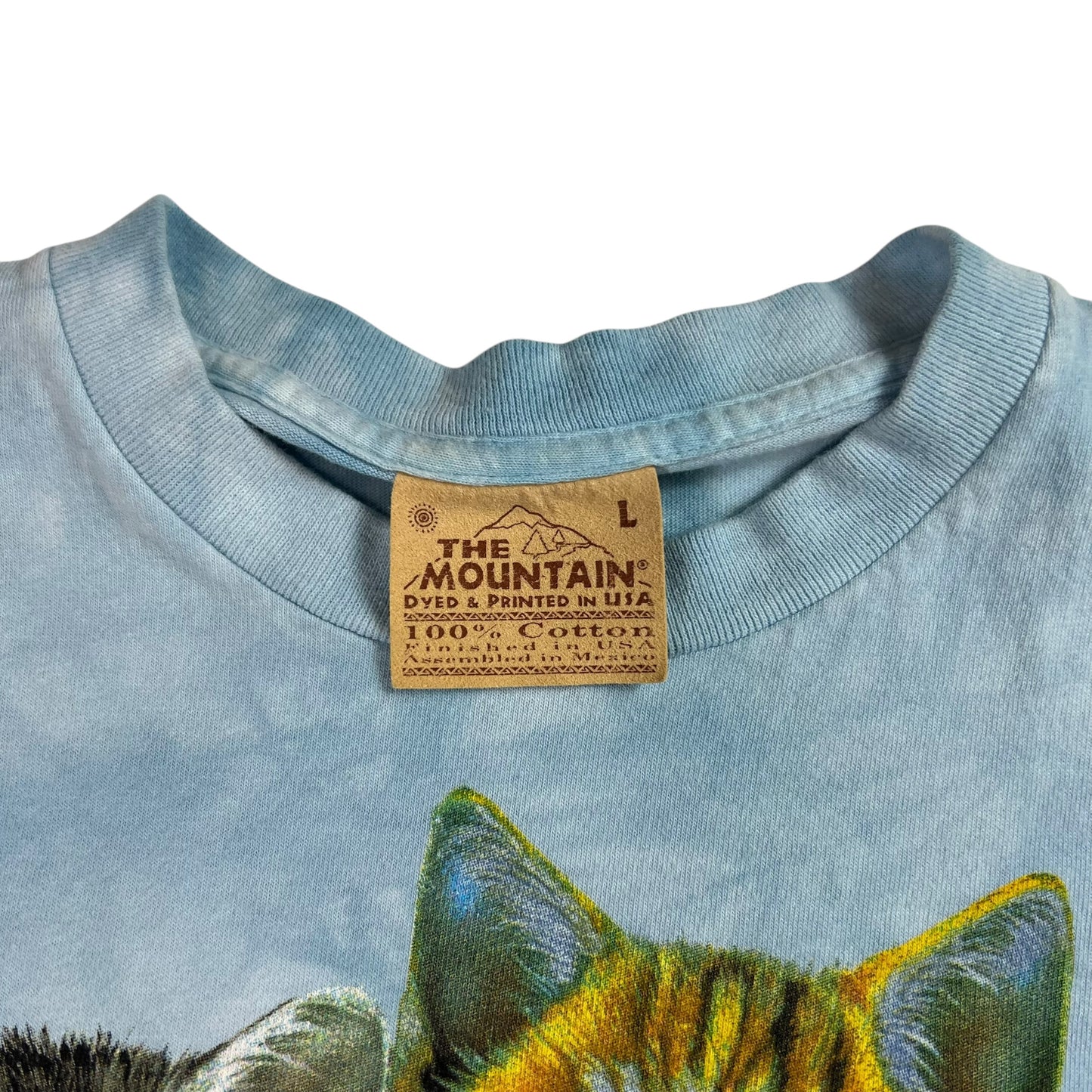 Vintage 2000 The Mountain Cats tie dye tee (XL)