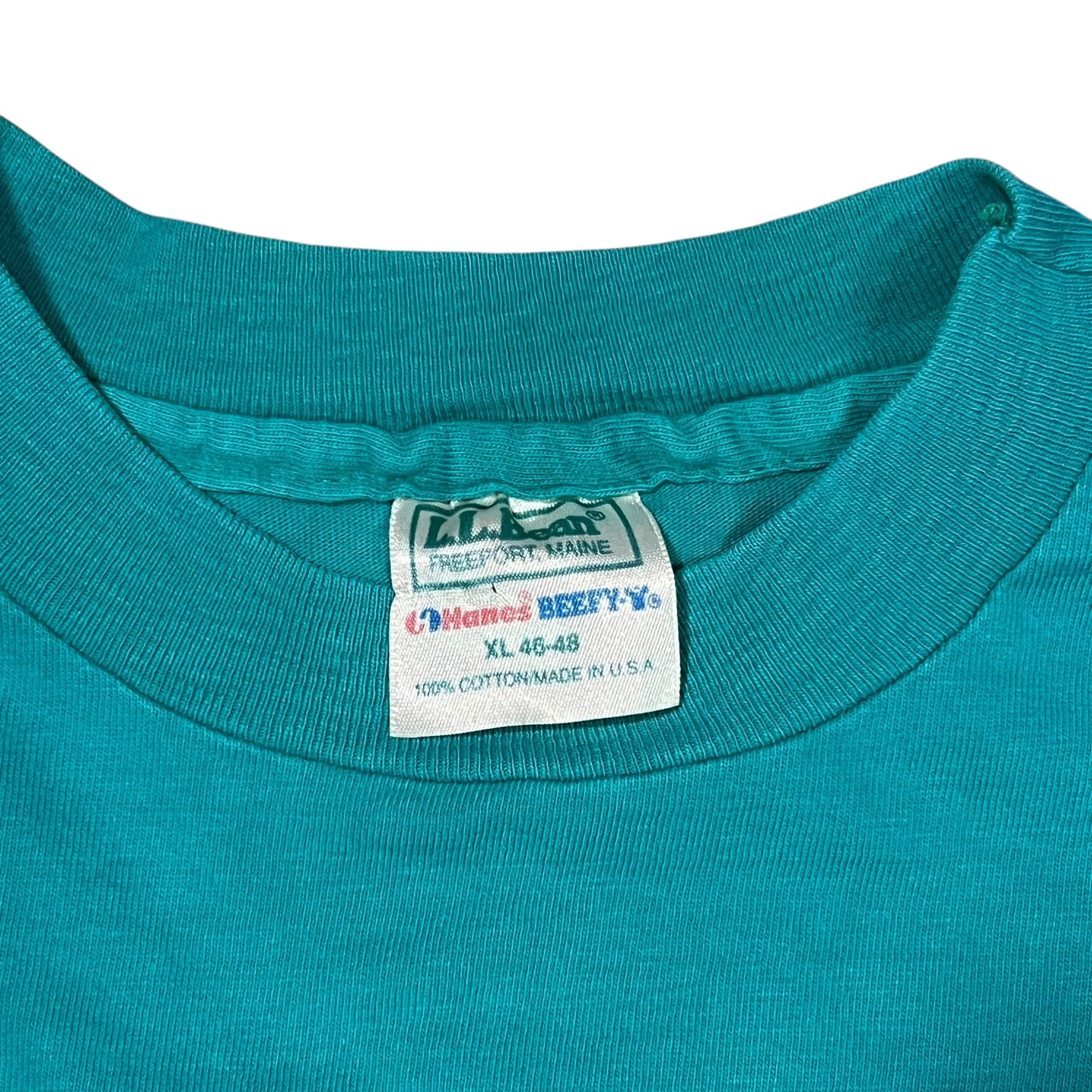 Vintage 90s L.L. Bean Hanes Mount Katahdin teal logo art tee (L/XL)