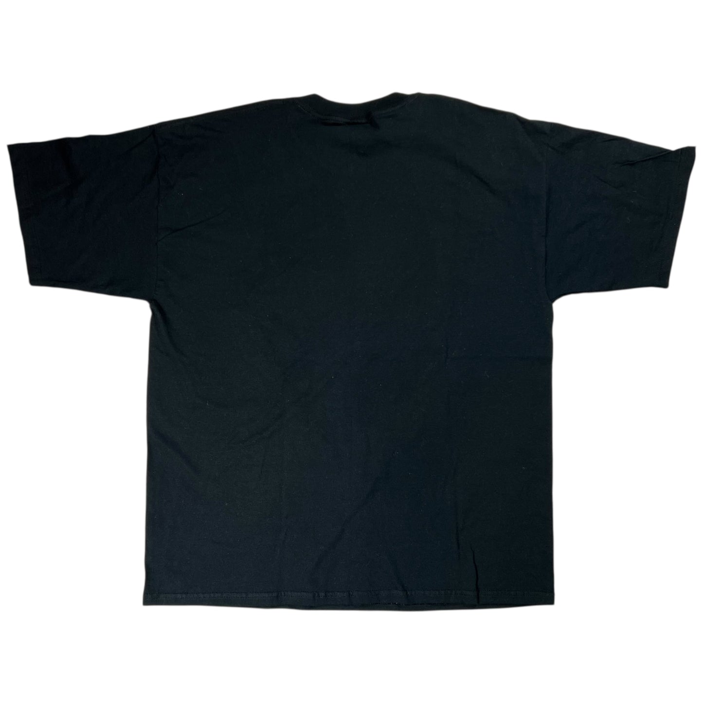 Vintage Y2K Pittsburgh Steelers Ben Roethlisberger tee (XL)