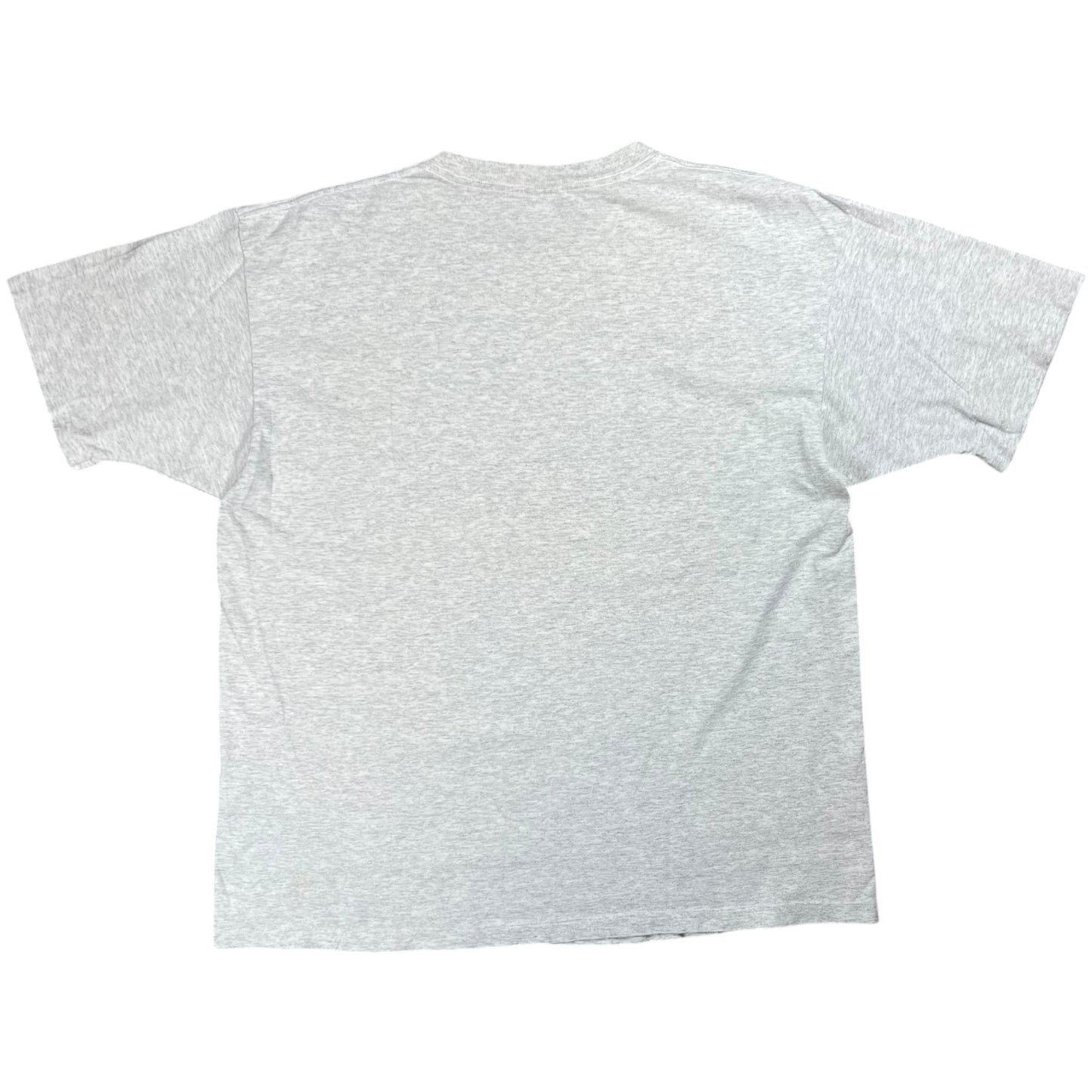 Vintage 90s R.E.I. harborside graphics outdoors tee (XL)