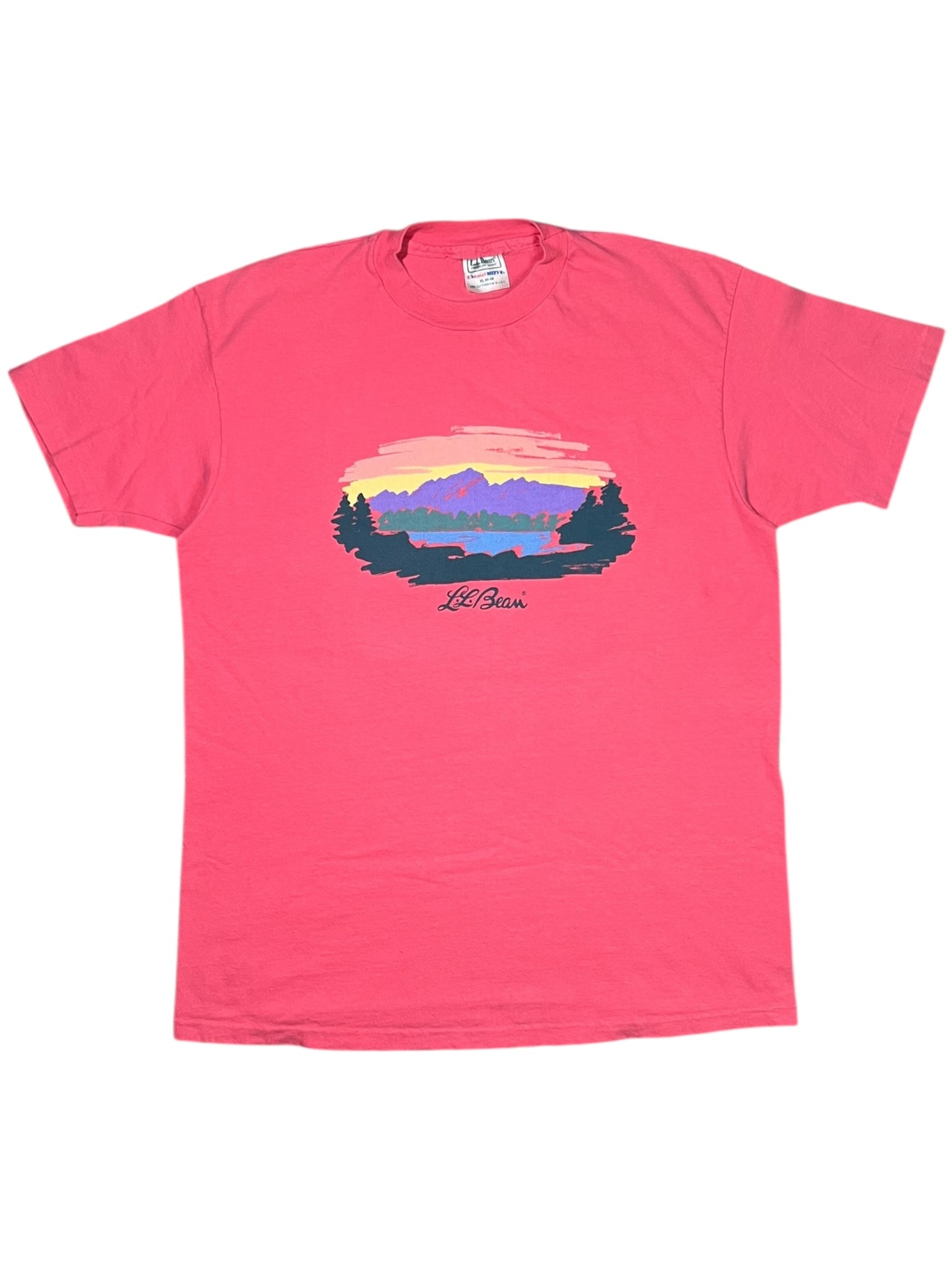 Vintage 90s L.L. Bean Hanes Mount Katahdin salmon logo art tee (L/XL)