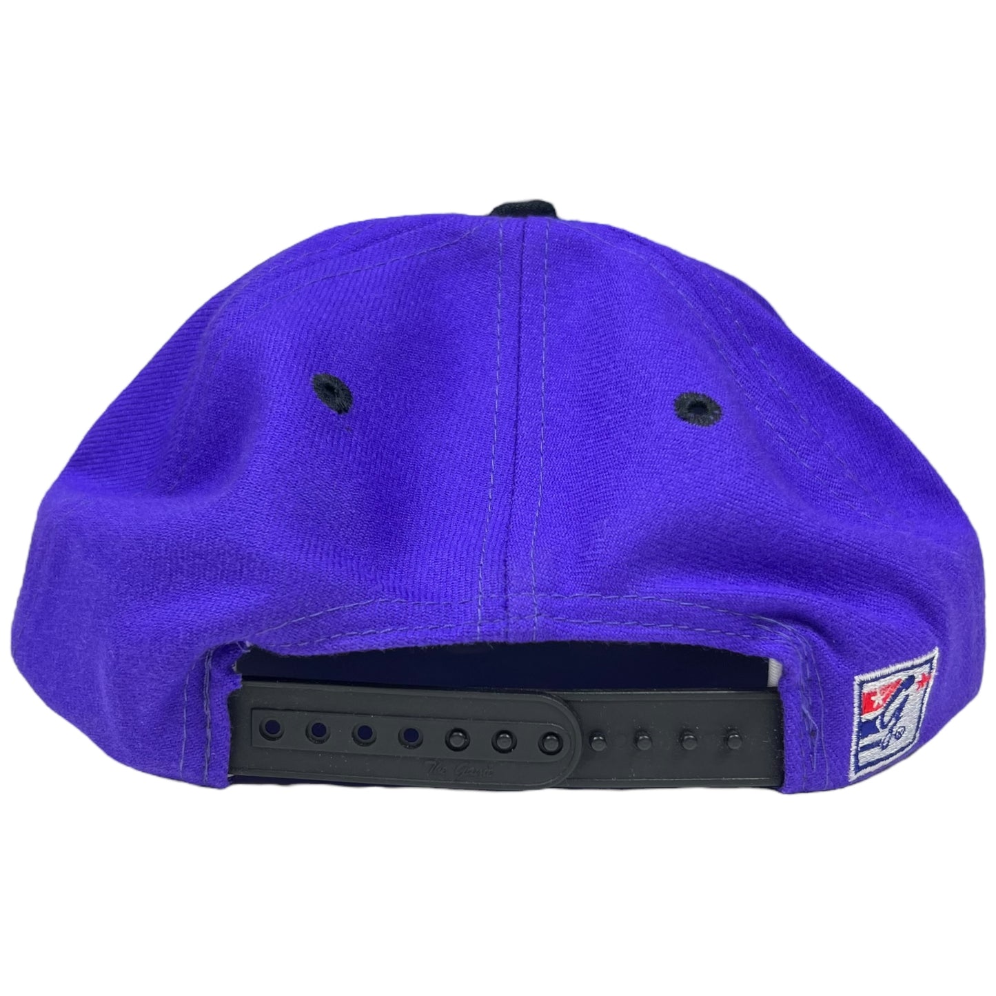 Vintage 90s The Game Toronto Raptors wool blend SnapBack