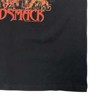 Vintage 2000 GIANT Godsmack Smackfest band tee (XL)