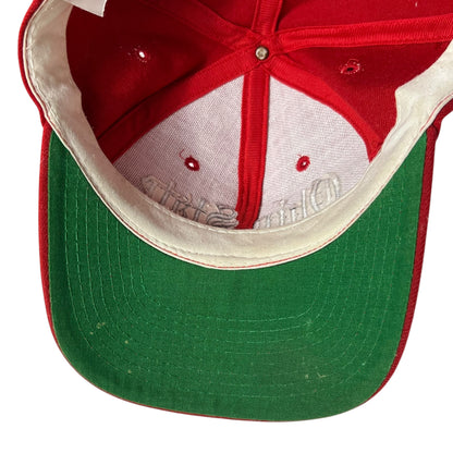 Vintage 90s The Game Ohio State University Buckeyes Script wool SnapBack