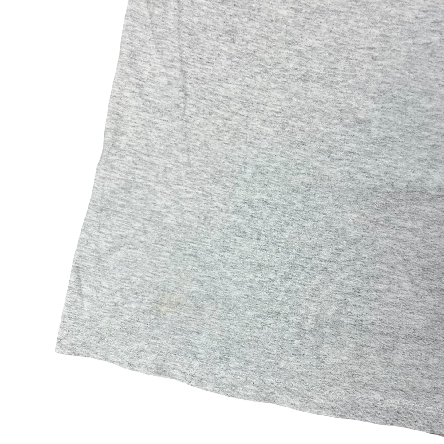 Vintage 90s R.E.I. harborside graphics outdoors tee (XL)