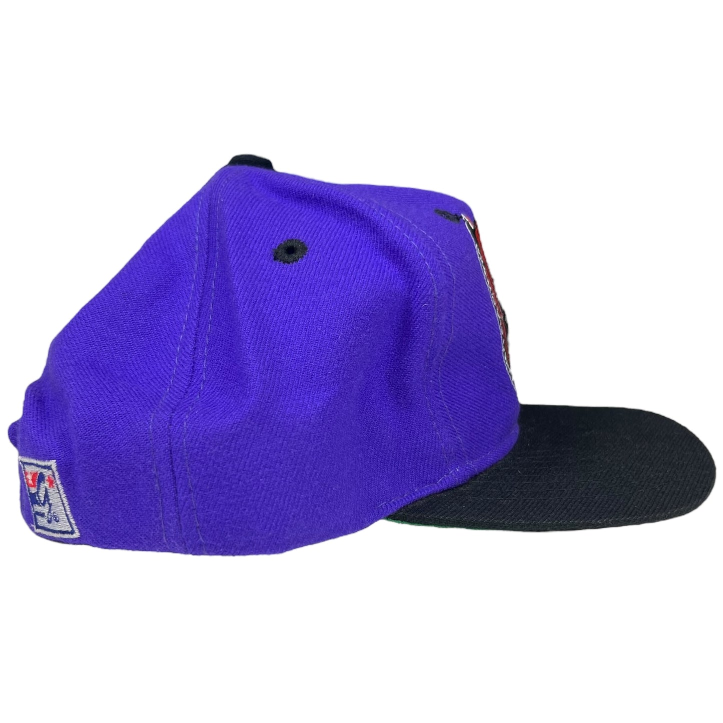 Vintage 90s The Game Toronto Raptors wool blend SnapBack