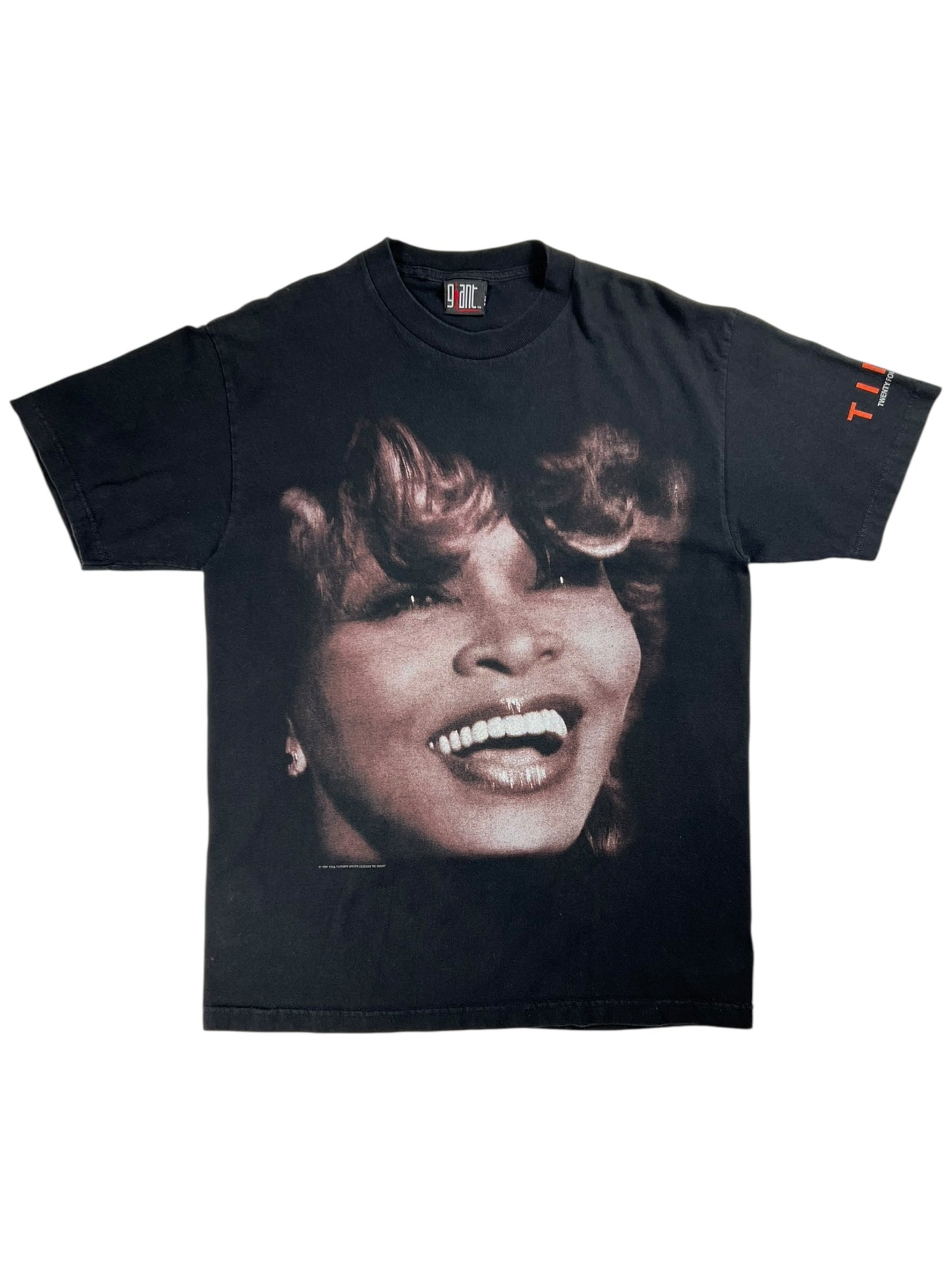 Vintage 1999 GIANT Tina Turner Twenty Four Seven tour tee (L)