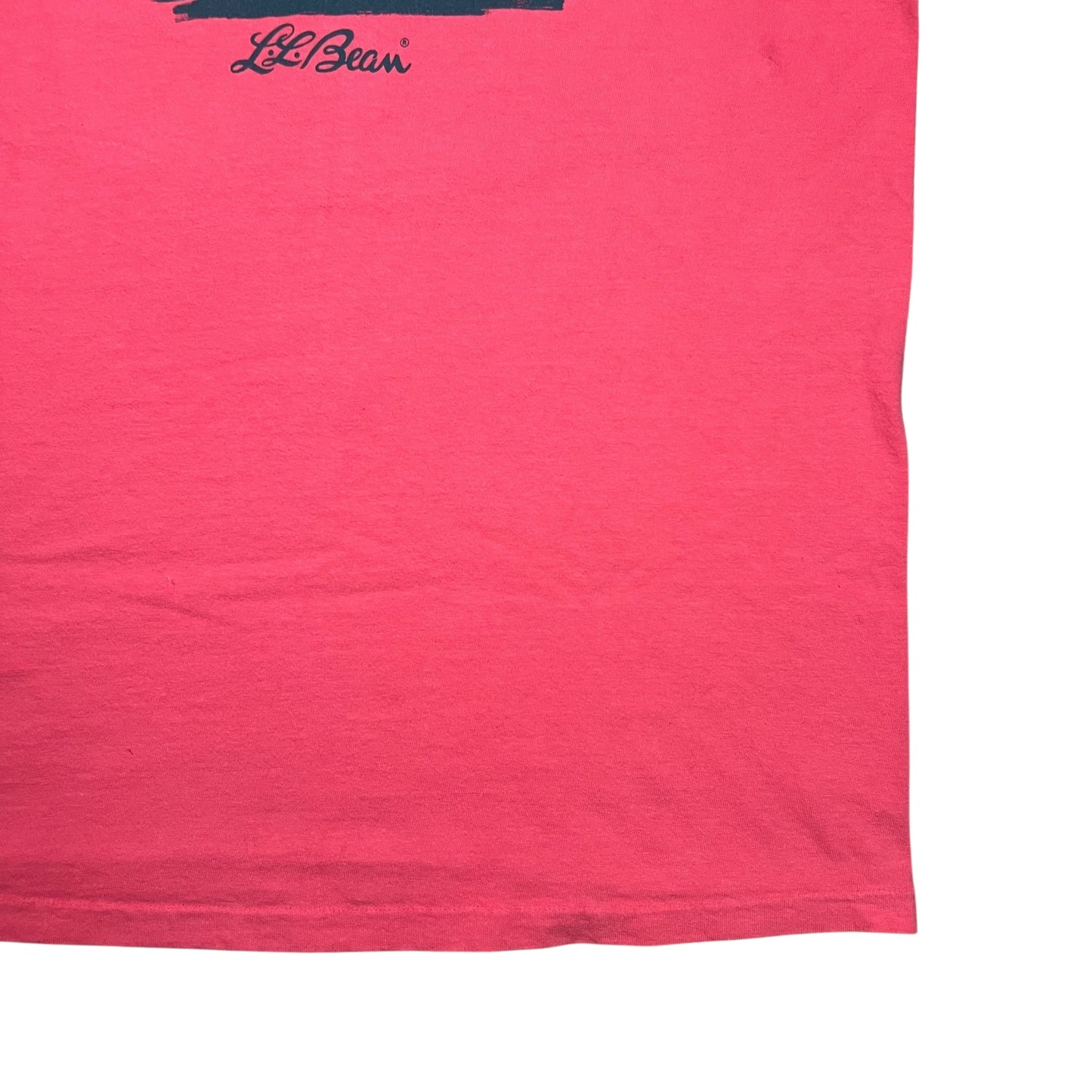 Vintage 90s L.L. Bean Hanes Mount Katahdin salmon logo art tee (L/XL)