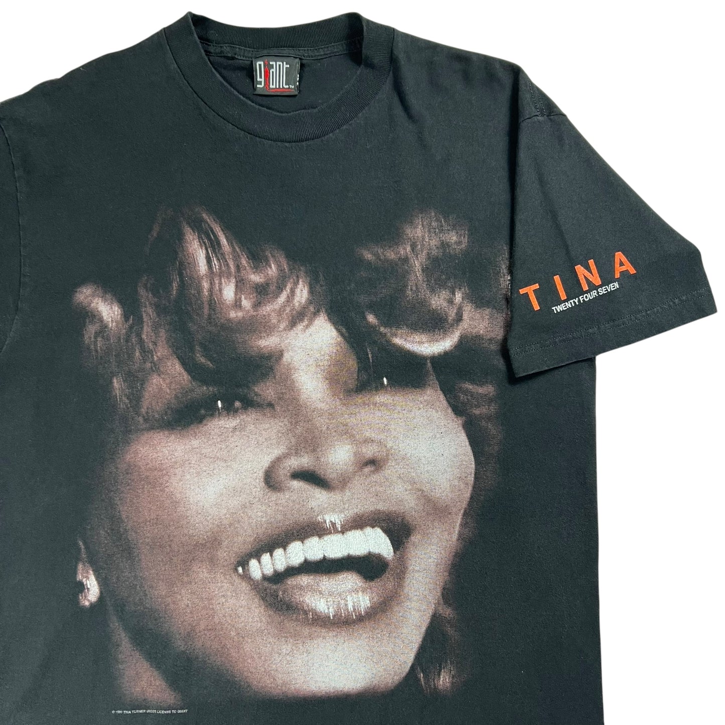 Vintage 1999 GIANT Tina Turner Twenty Four Seven tour tee (L)