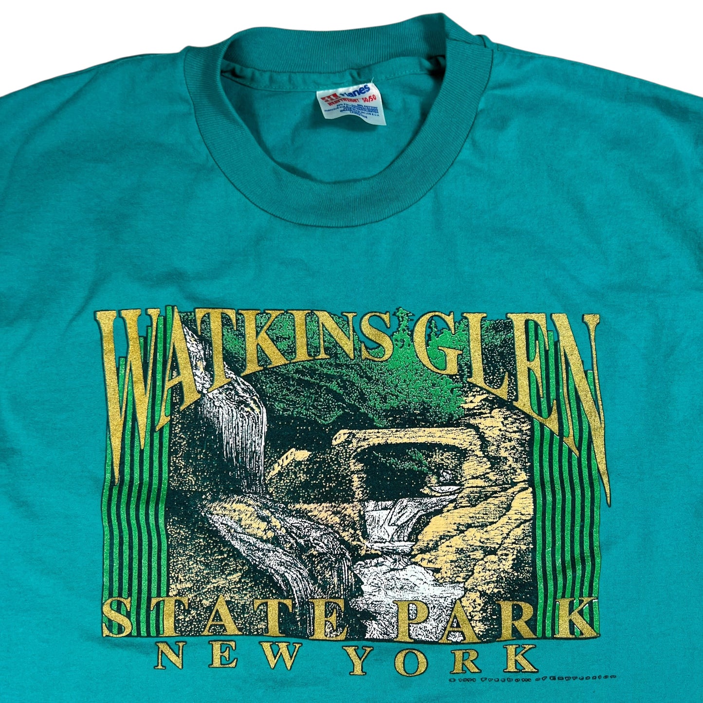 Vintage 90s Watkins Glen State Park New York Nature tee (M)