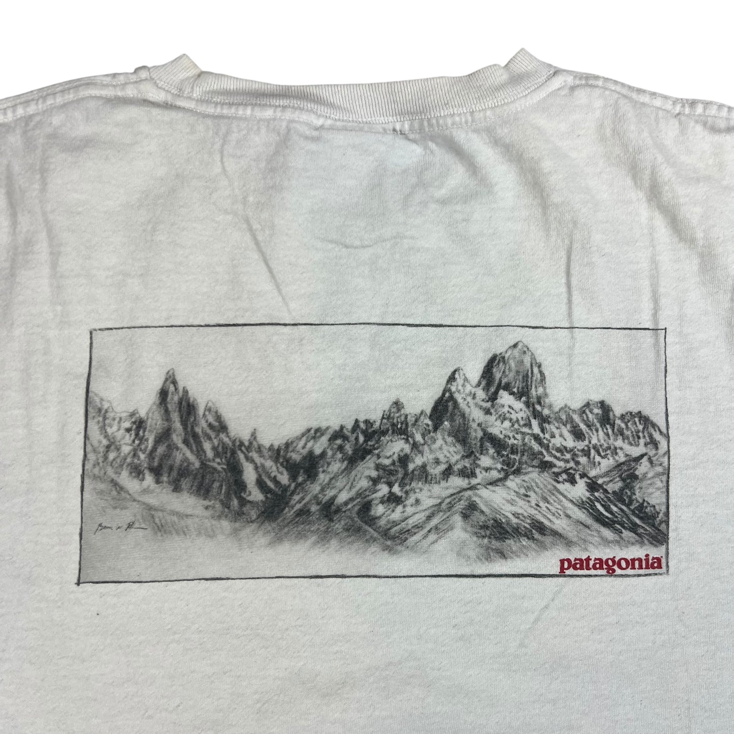 Vintage 90s Patagonia mountain long sleeve shirt (L)