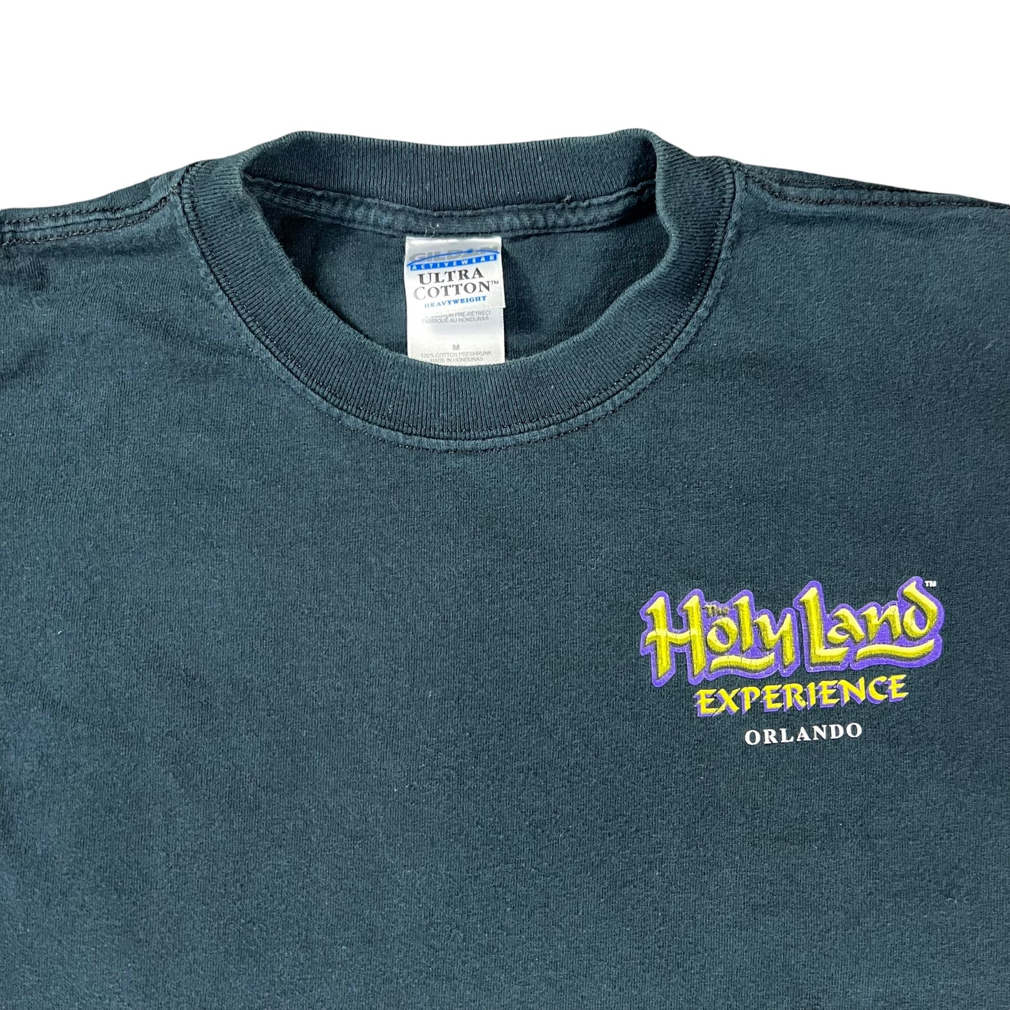 Vintage Y2K Holy Land experience Florida tee (M)