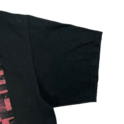 Vintage 2007 Stevie Wonder tour tee (XL)
