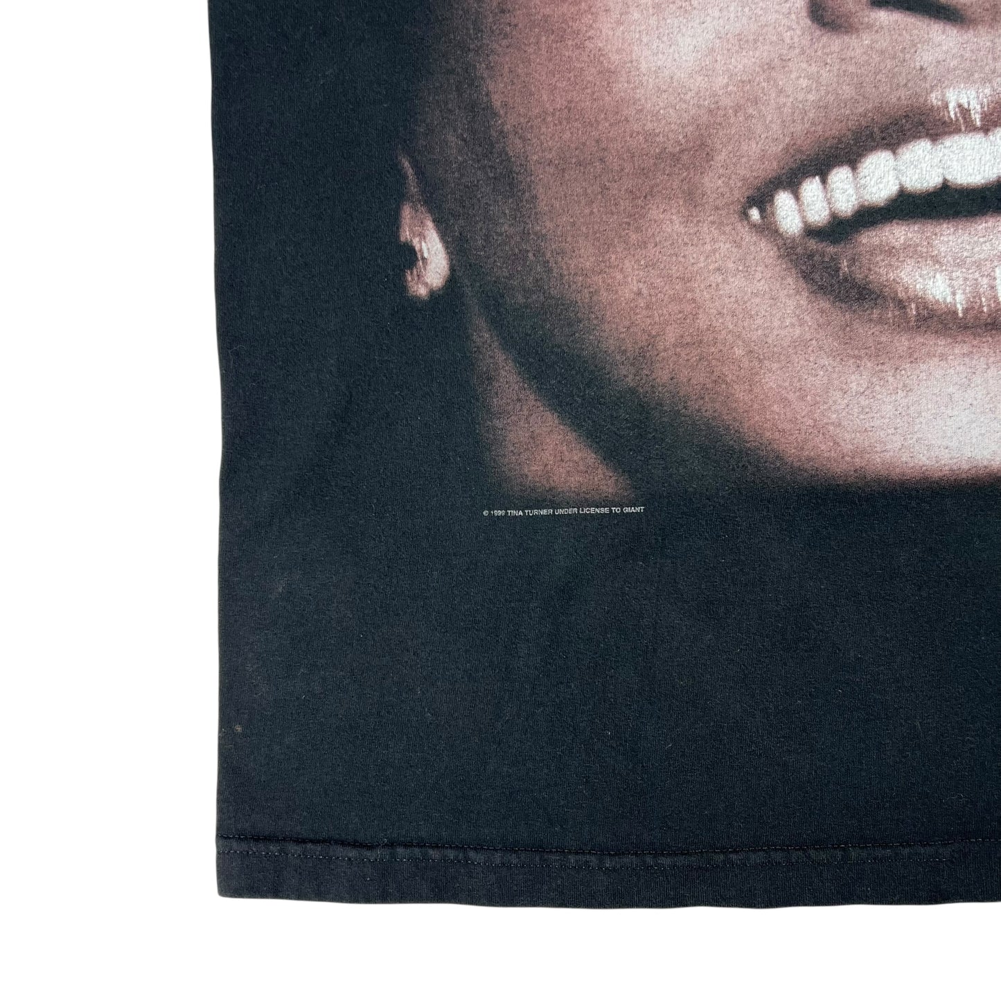 Vintage 1999 GIANT Tina Turner Twenty Four Seven tour tee (L)