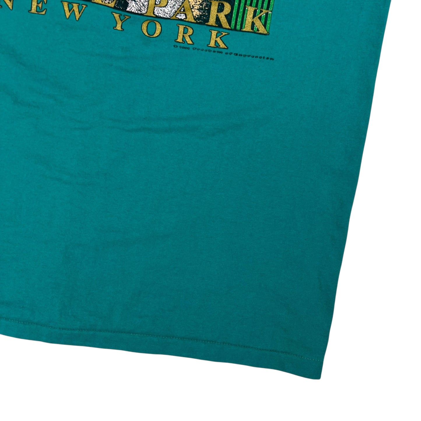 Vintage 90s Watkins Glen State Park New York Nature tee (M)