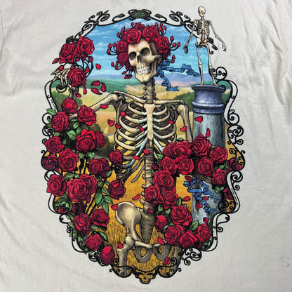 Vintage 1995 Grateful Dead Bertha 30 years band tee (XL)