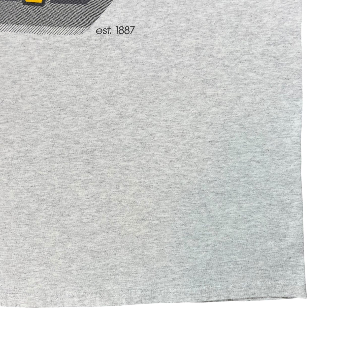 Vintage Y2K Hanes Pittsburgh Pirates MLB tee (XL)