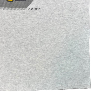 Vintage Y2K Hanes Pittsburgh Pirates MLB tee (XL)