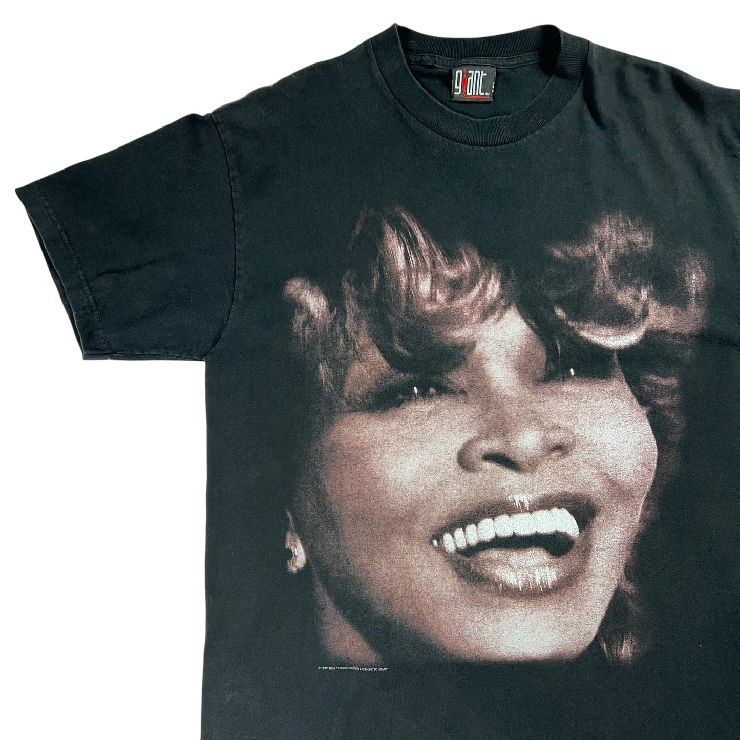 Vintage 1999 GIANT Tina Turner Twenty Four Seven tour tee (L)