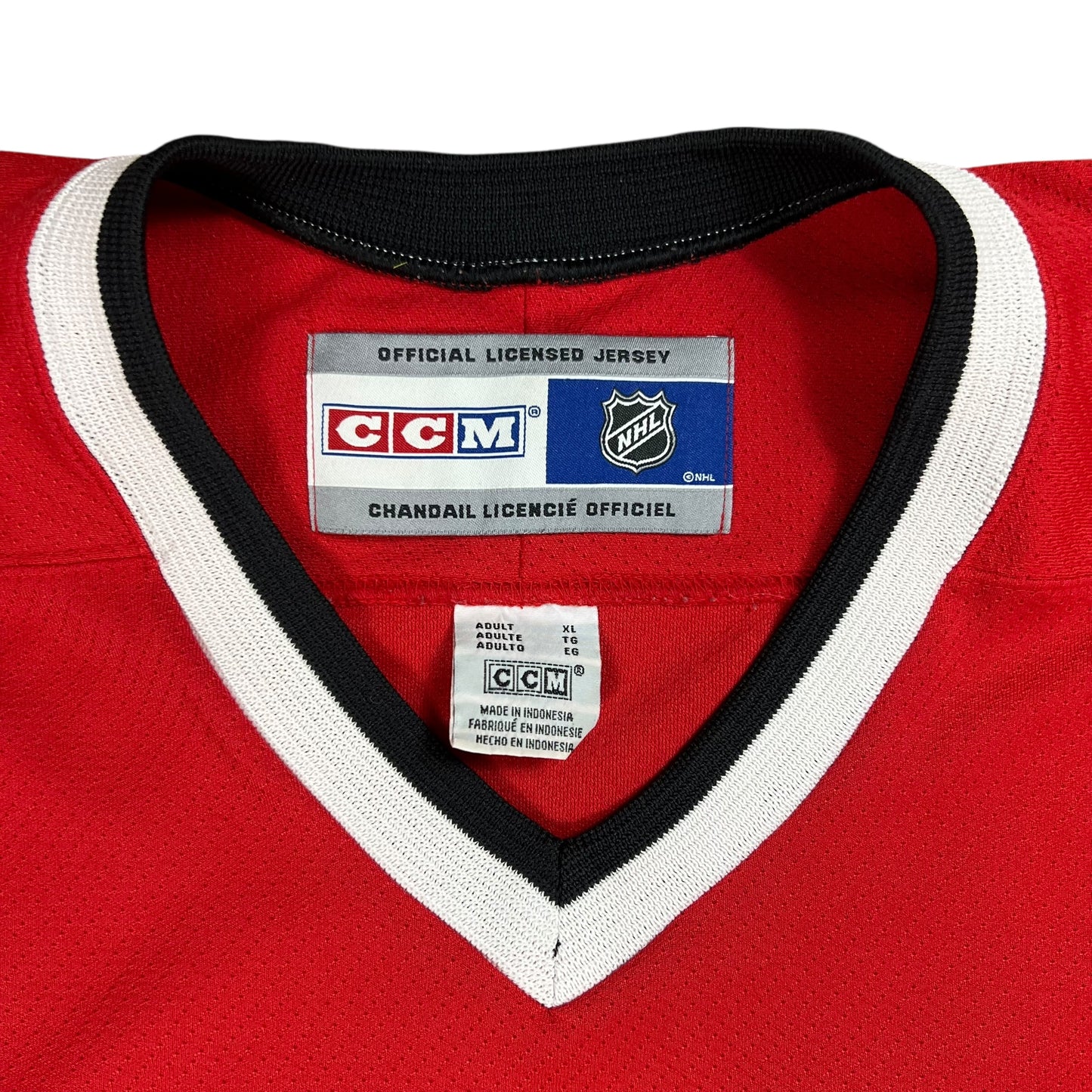 Vintage 90s CCM Carolina Hurricanes NHL jersey (XL)