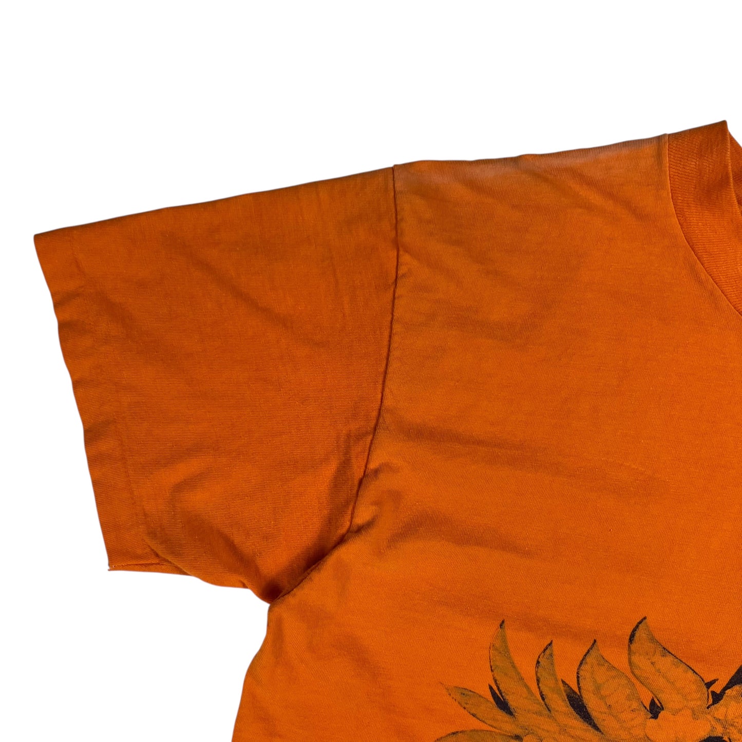 Vintage 1970s Hanes South Padre Island Texas faded tee (L)