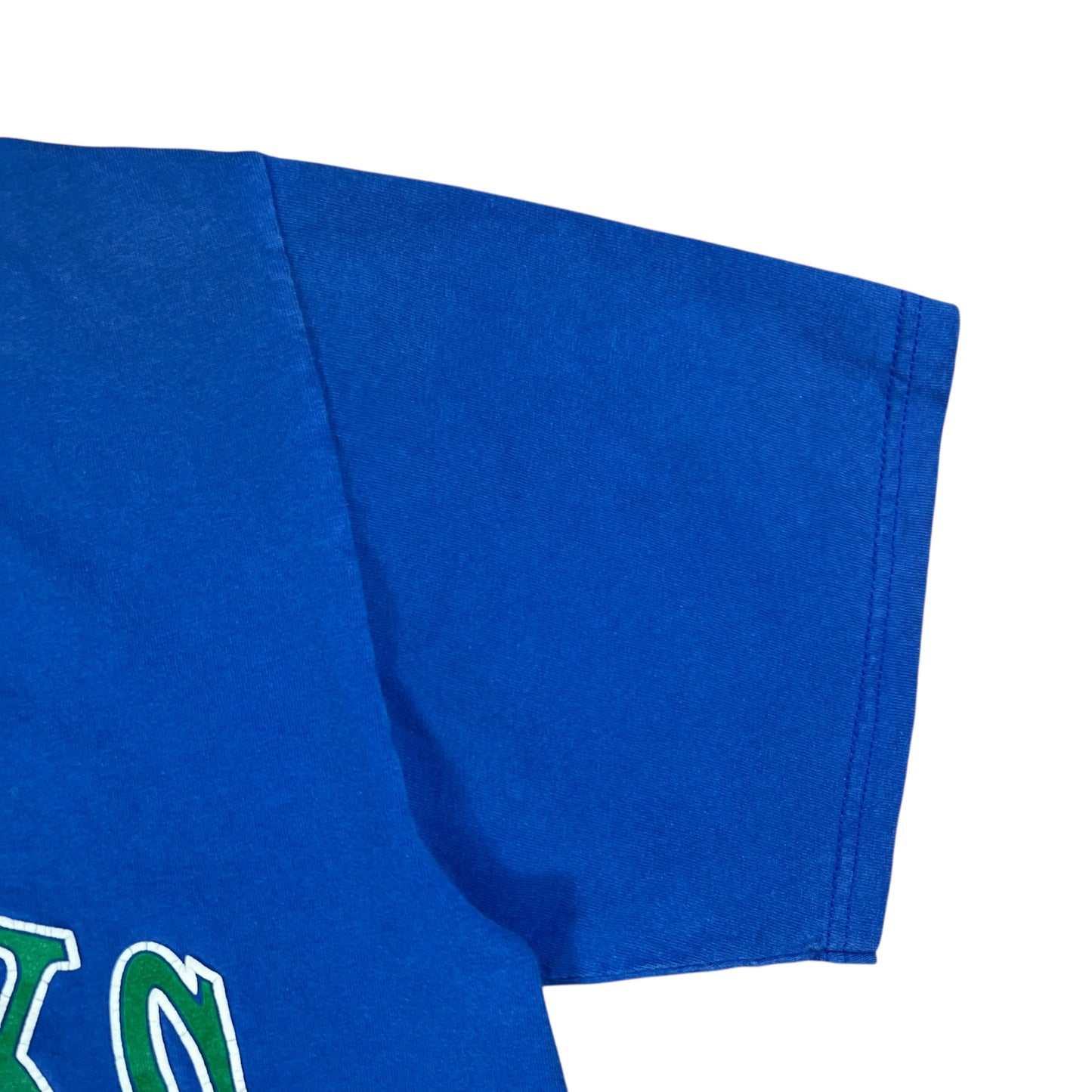Vintage 90s Nutmeg Seattle Seahawks old logo tee (M)