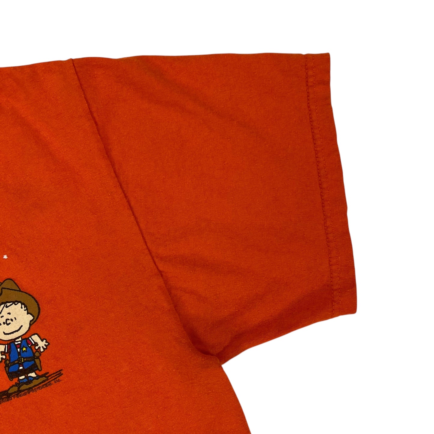 Vintage Y2K Peanuts Charlie Brown Halloween tee (L)