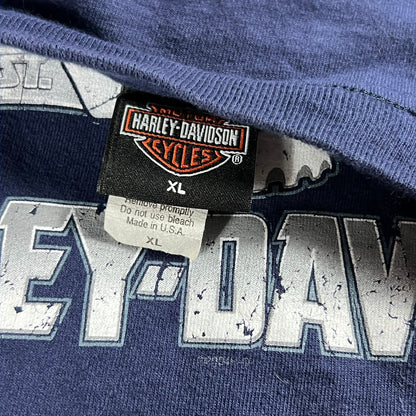 Vintage 2004 Harley Davidson Motorcycles skull tee (XL)