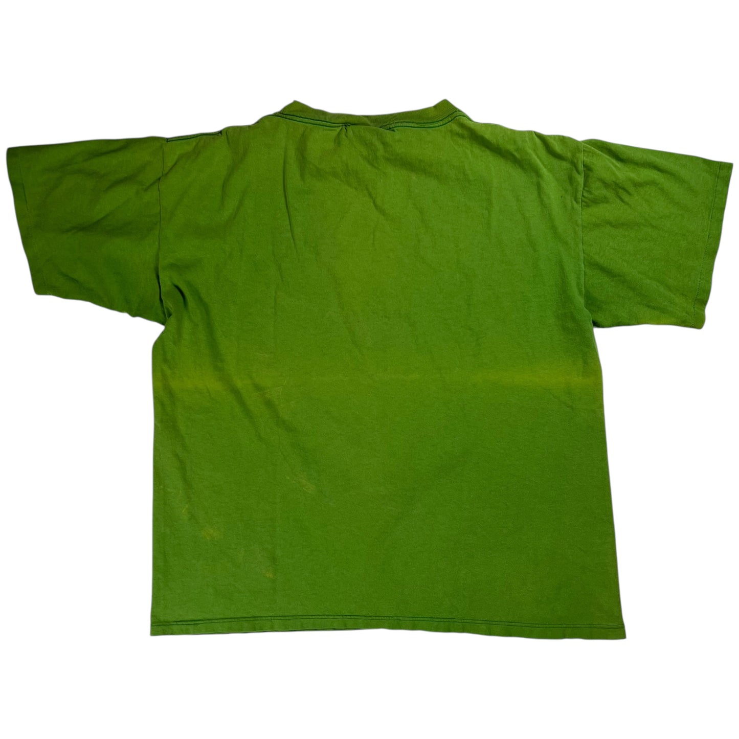 Vintage 90s The Game Boston Celtics faded tee (L)