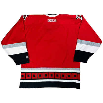 Vintage 90s CCM Carolina Hurricanes NHL jersey (XL)